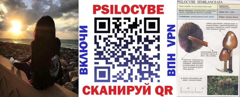 Псилоцибиновые грибы Cubensis  Высоцк 
